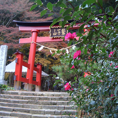 鷲子山上神社(とりのこさんしょうじんじゃ)の鳥居の写真